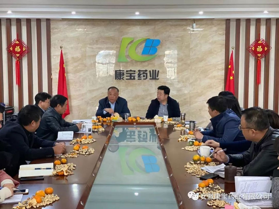 【康寶新聞】交流面對(duì)面 溝通心連心--醫(yī)院集團(tuán)董事長(zhǎng)江鴻方一行來(lái)康寶藥業(yè)調(diào)研指導(dǎo)工作